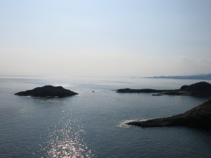 太平洋がきれい!