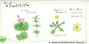 2014_01_04_hotokenoza_01_s